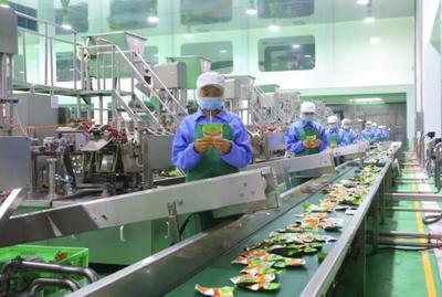 稅費&ldquo;退減緩&rdquo; 穩(wěn)崗就業(yè)惠民生